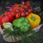 Dieta dla sportowców