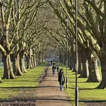Dieta Cambridge